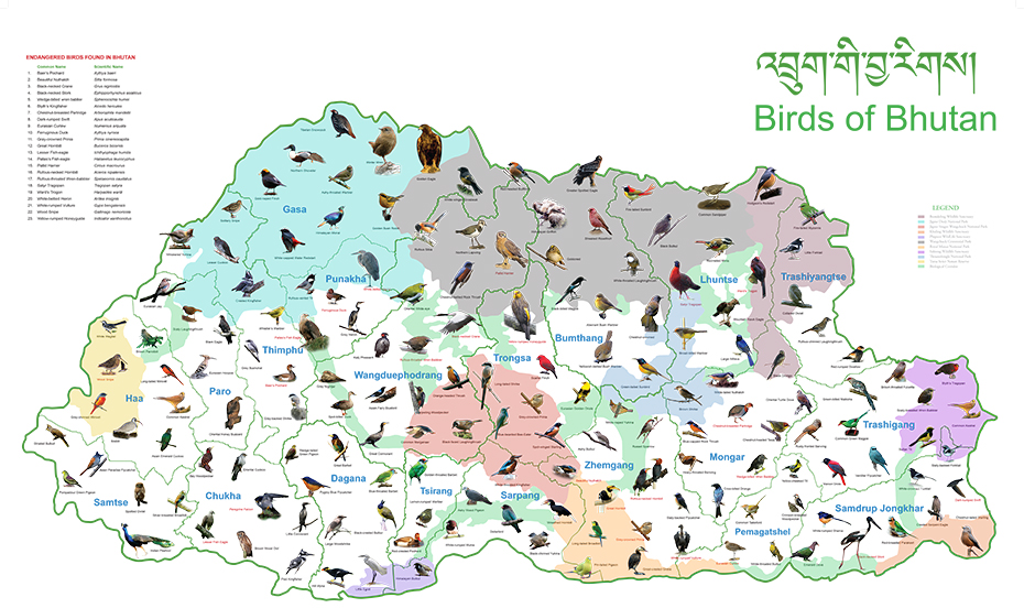 BIRD-MAP