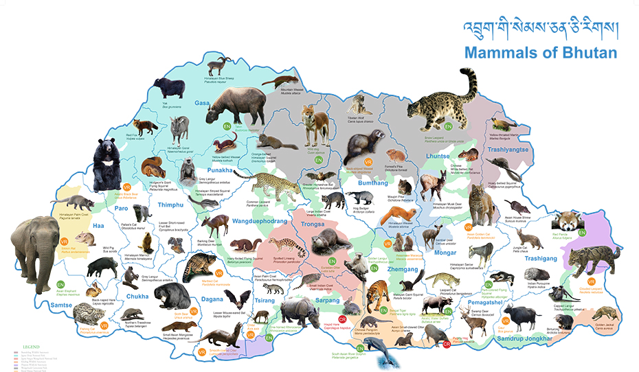 MAMMALS-MAP